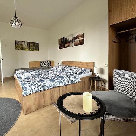 Apartman Aneta Nove Mesto Na Morave Εξωτερικό φωτογραφία